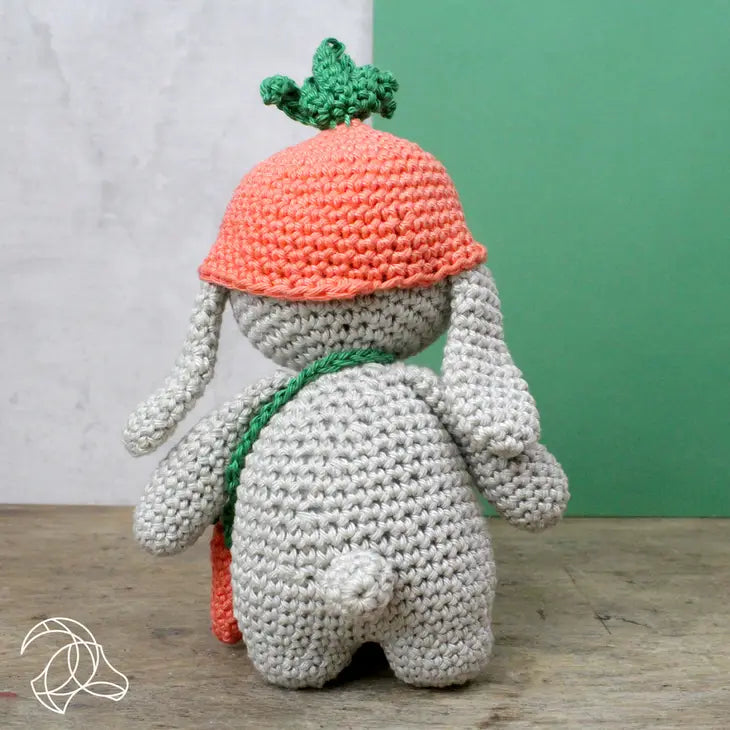 Frank the Rabbit Crochet DIY Kit