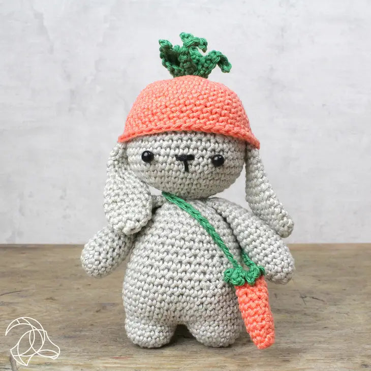 Frank the Rabbit Crochet DIY Kit