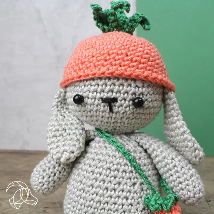 DIY Crochet Amigurumi BUNNY Craft Kit for Adults, Beginner Crochet